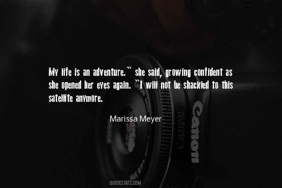 Bye Grandma Quotes #833971