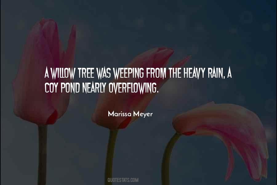 Rain Rain Quotes #15473