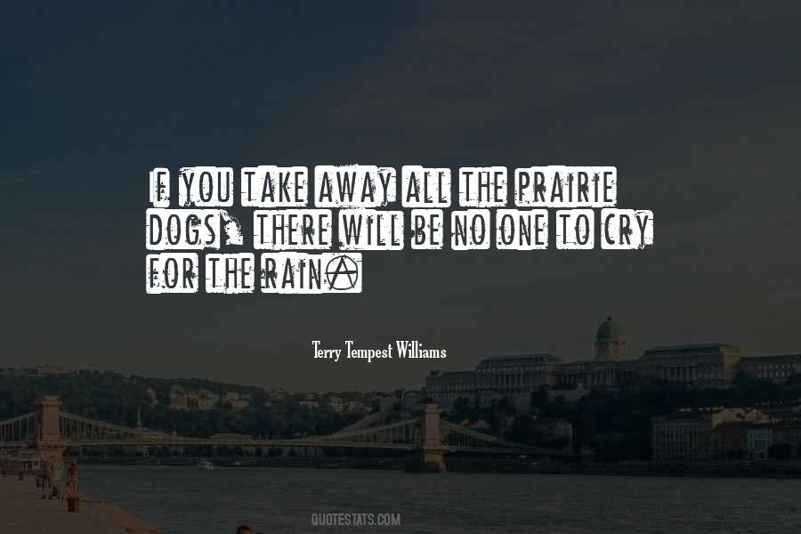 Rain Rain Quotes #47055