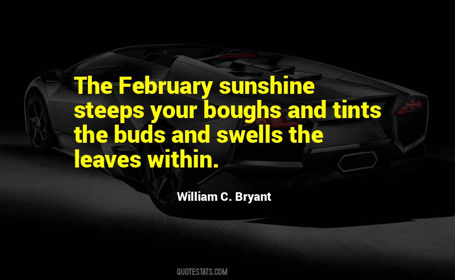 February Sunshine Quotes #527737