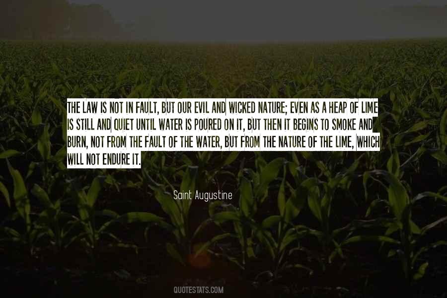 Burn The Evil Quotes #548113