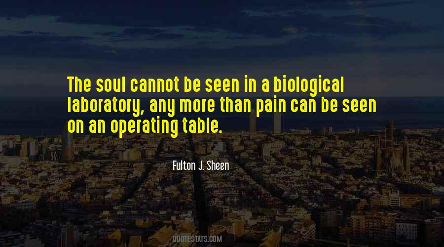 Pain In My Soul Quotes #238161