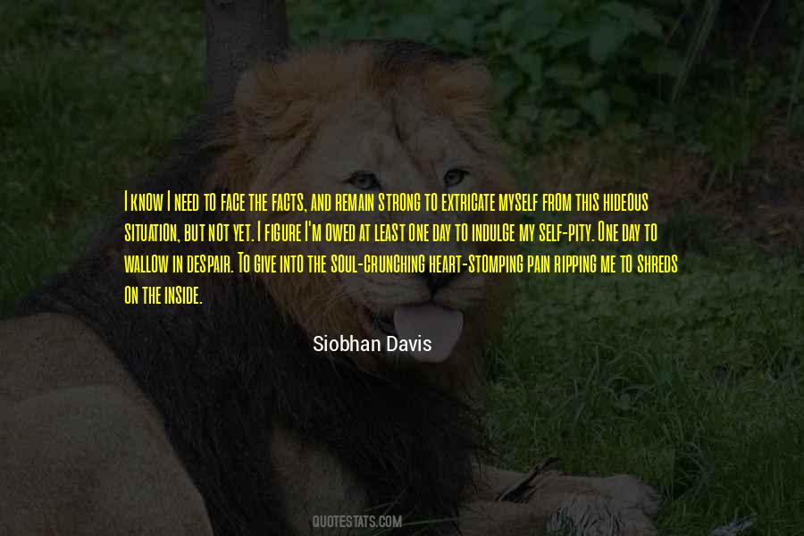 Pain In My Soul Quotes #797361