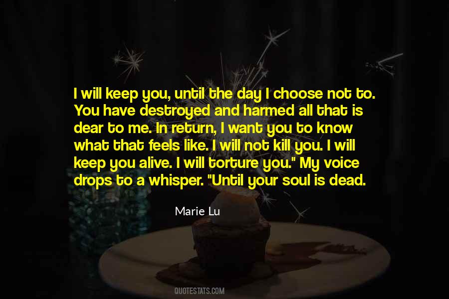 You Destroyed My Soul Quotes #973356
