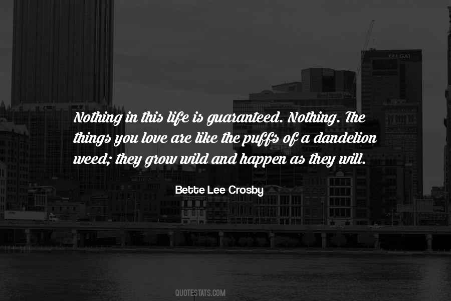 Nothing In This Life Quotes #1160668