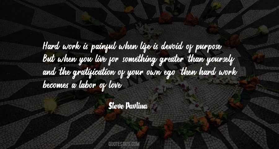 Own Hard Work Quotes #549735