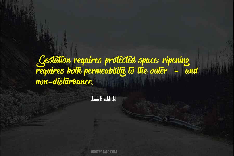 Disabled Veteran Quotes #1100224
