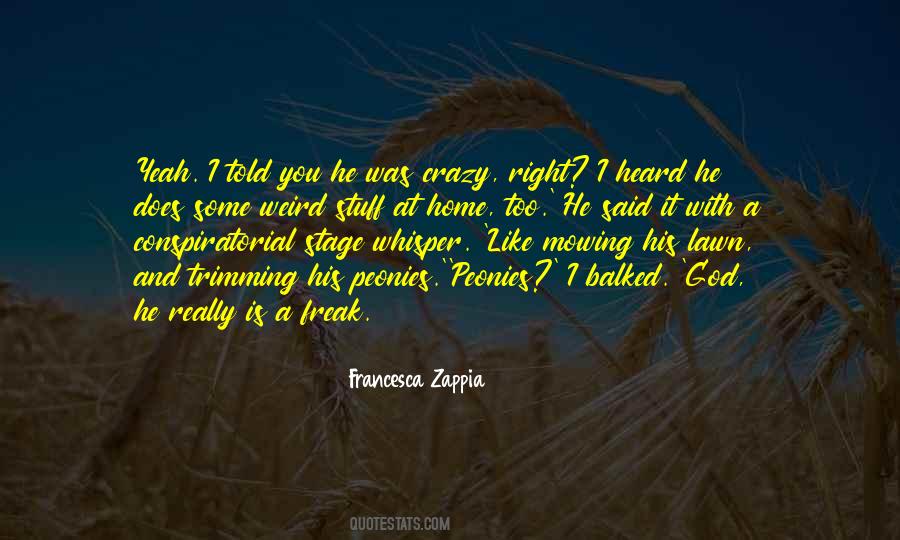 God Home Quotes #99760