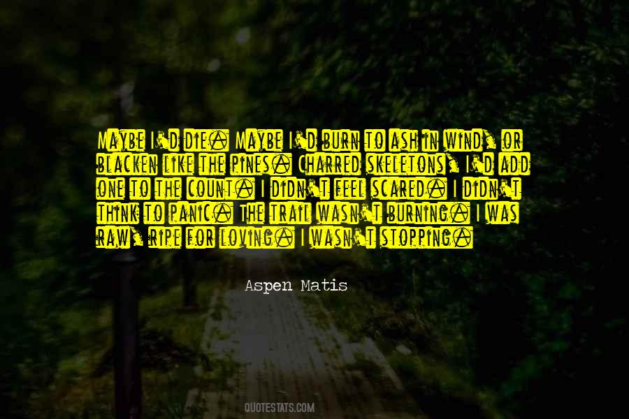 When You Feel Like Stopping Quotes #1034943