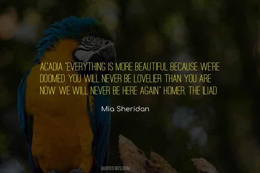 You Are More Beautiful Than Quotes #503886