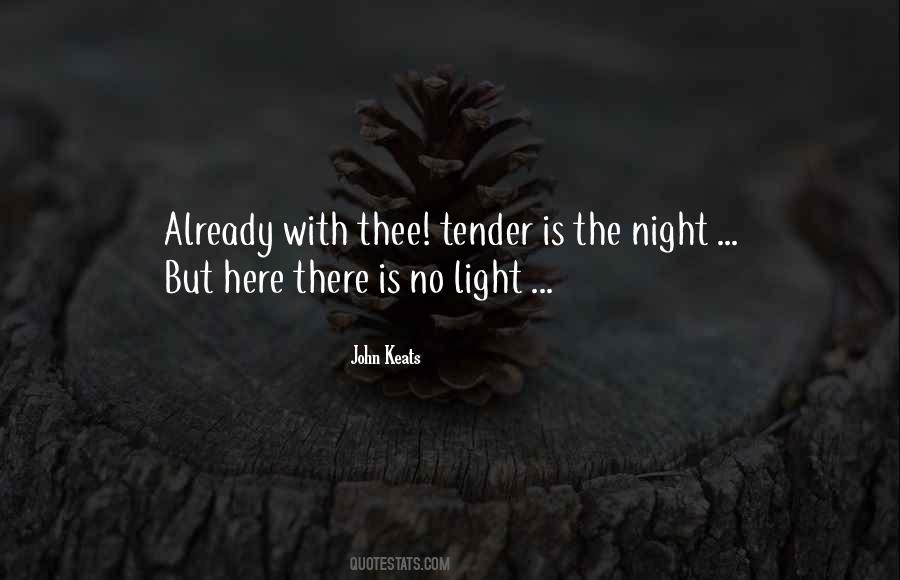 There Is No Light Quotes #77756