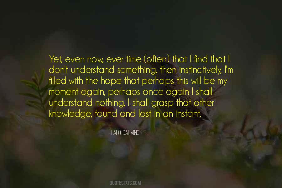 Lost My Hope Quotes #1050741