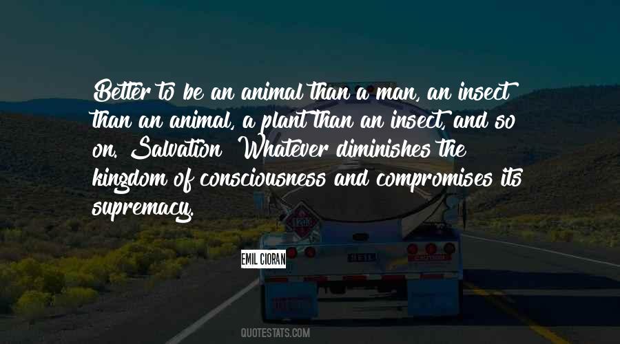 Its Better Quotes #366817