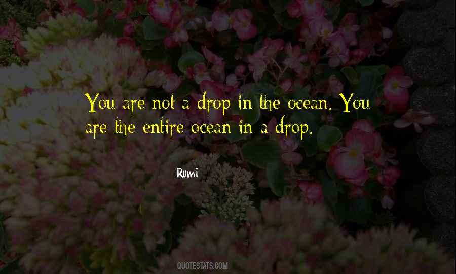 Ocean In A Drop Quotes #149729