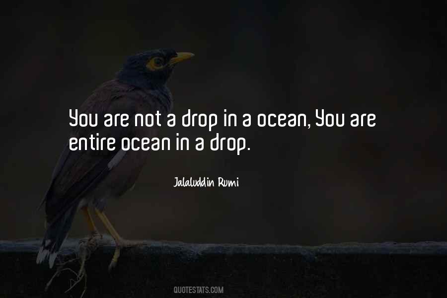 Ocean In A Drop Quotes #739584