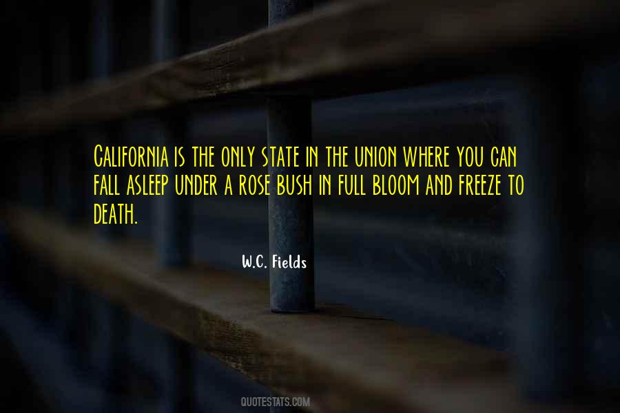 Bloom Is Off The Rose Quotes #1412363