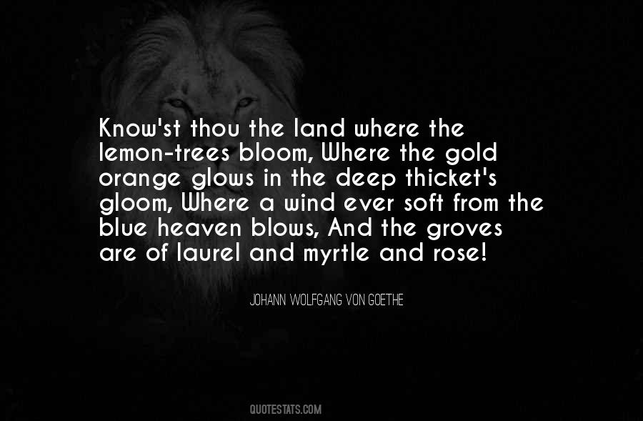 Bloom Is Off The Rose Quotes #1426572