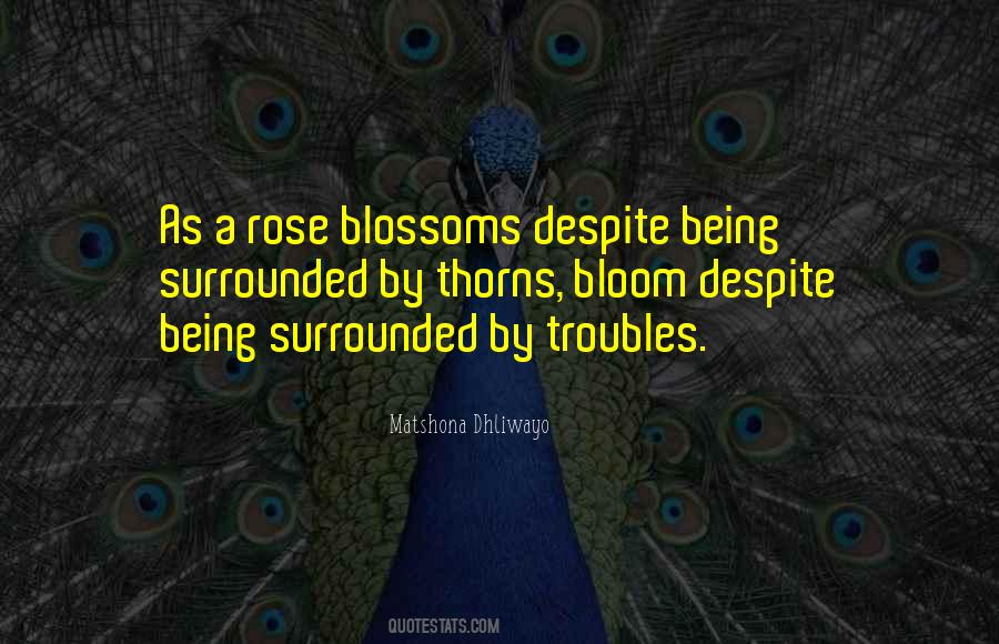 Bloom Is Off The Rose Quotes #159363