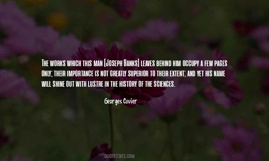 The Importance Of Hard Work Quotes #810230