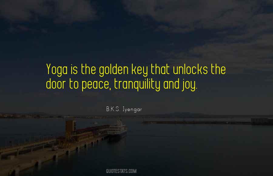 Yoga Joy Quotes #1589482