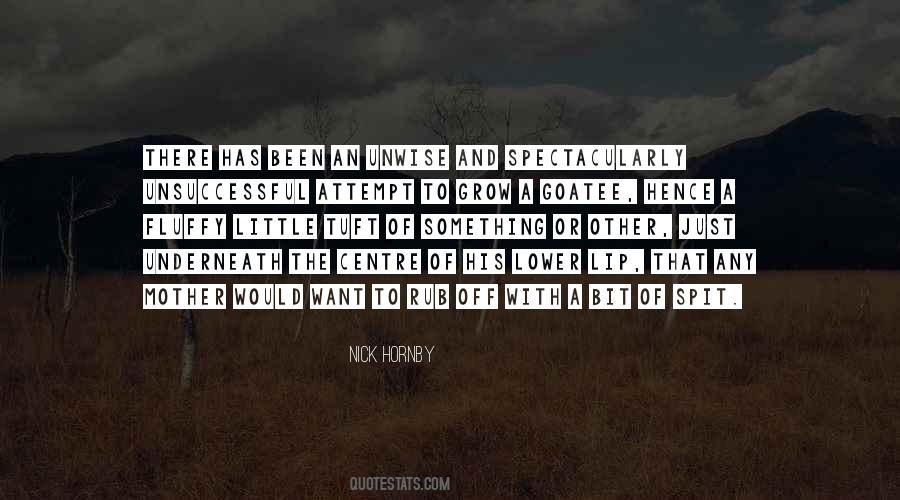 Just A Little Something Quotes #196686