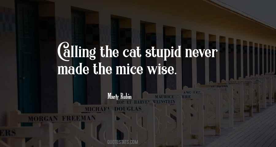Stupid Wise Quotes #175955