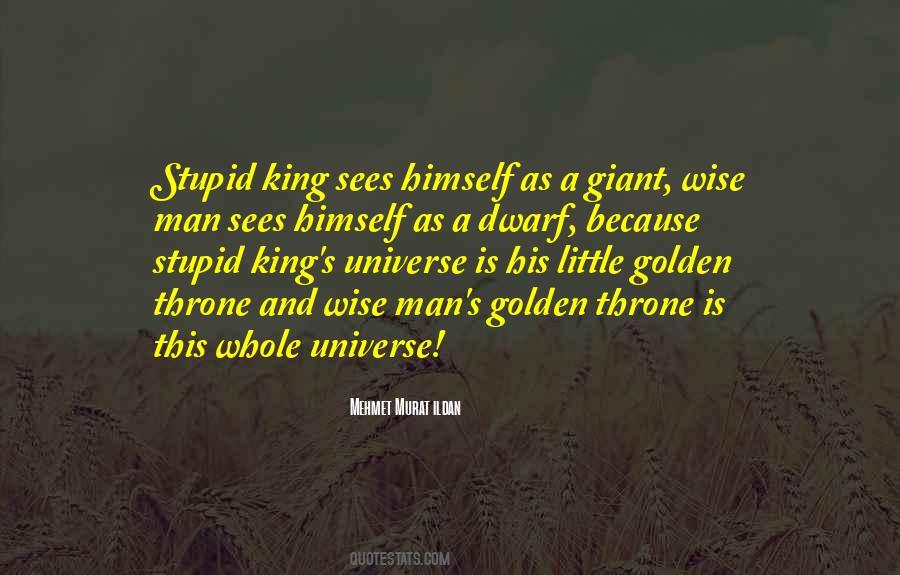 Stupid Wise Quotes #1760340