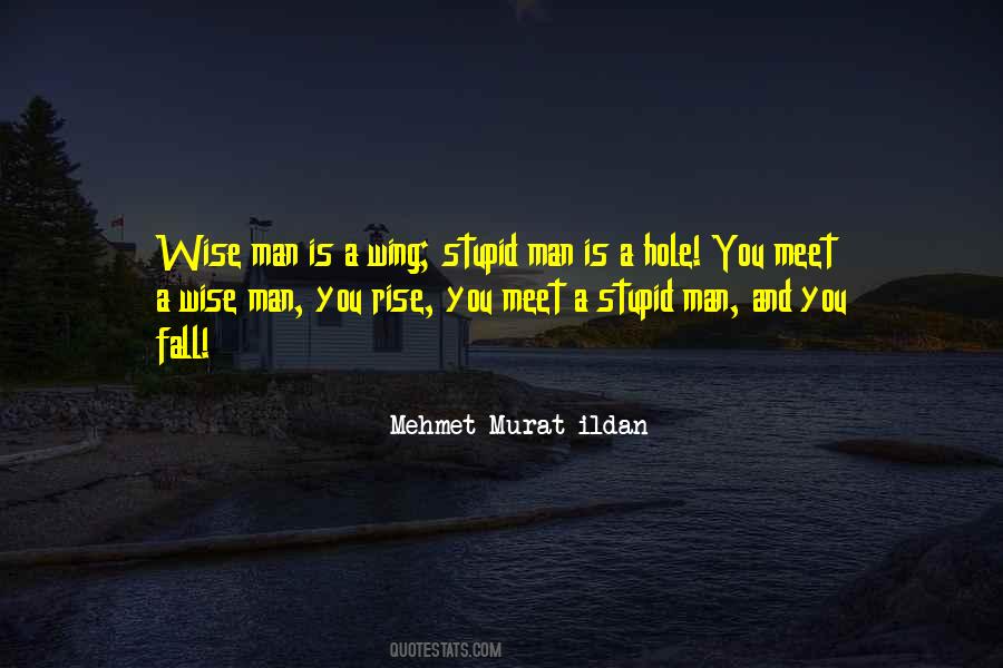 Stupid Wise Quotes #330106