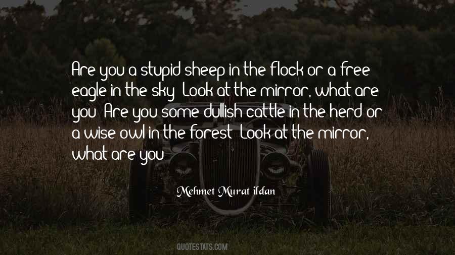 Stupid Wise Quotes #81091