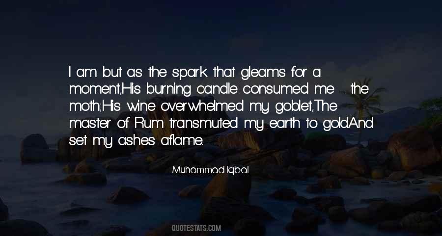 Burning Ashes Quotes #1458202