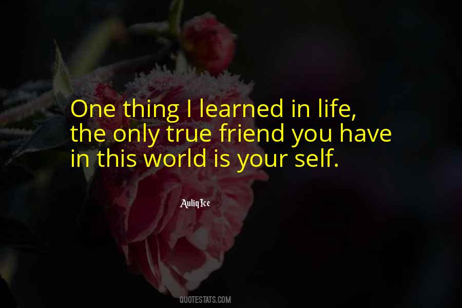I Only Have One Life Quotes #1018217