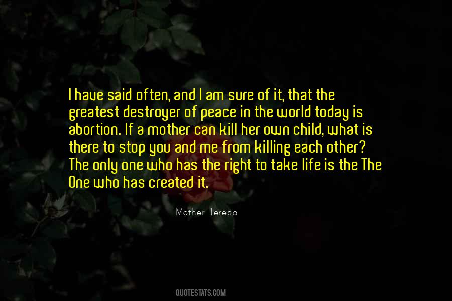 I Only Have One Life Quotes #1399721
