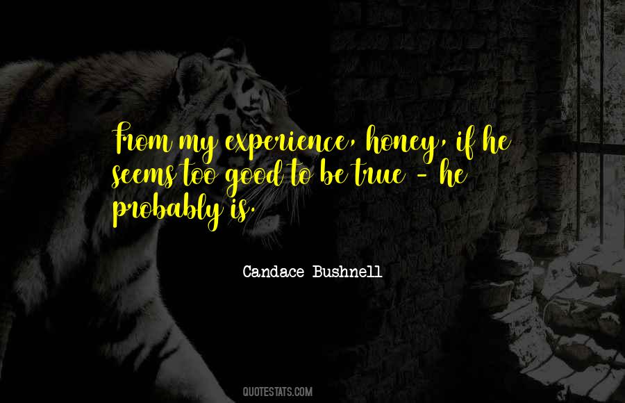 If Something Seems Too Good To Be True Quotes #234278