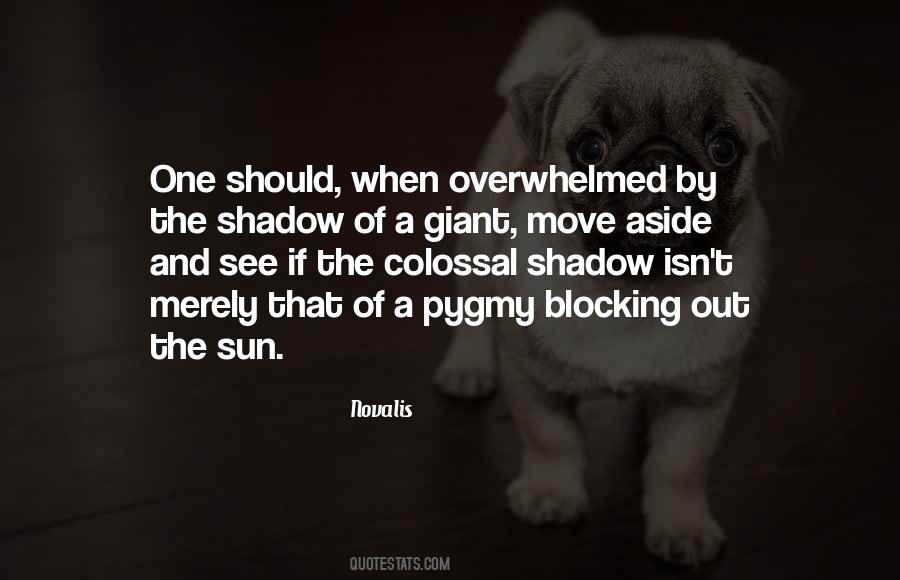 Quotes About Sun Shadow #1010100