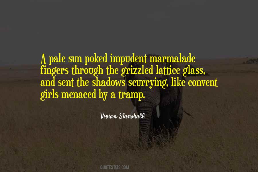 Quotes About Sun Shadow #1622751
