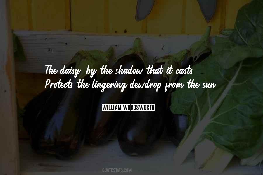 Quotes About Sun Shadow #79280