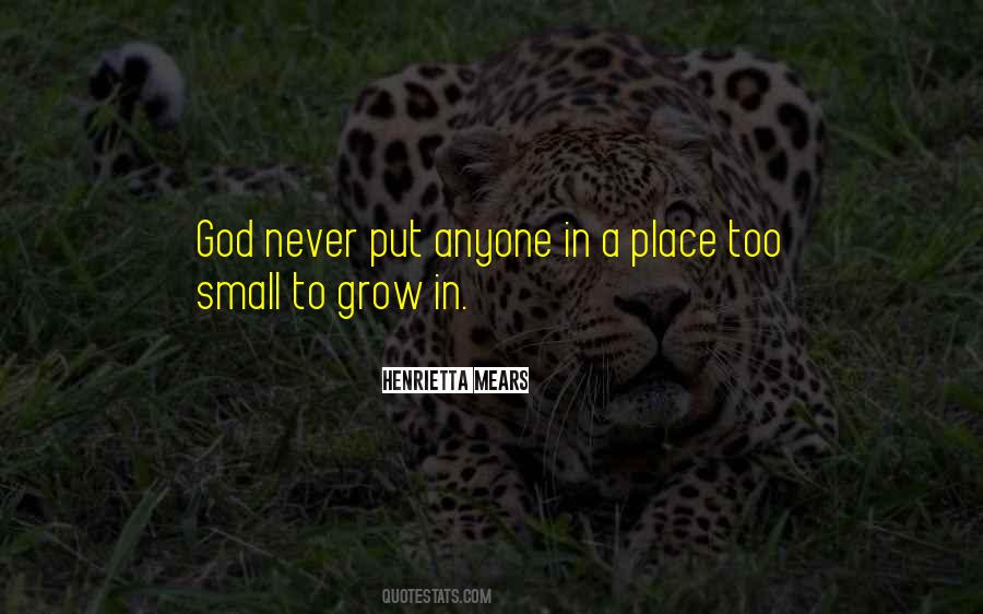 God Will Never Put More On You Quotes #612541