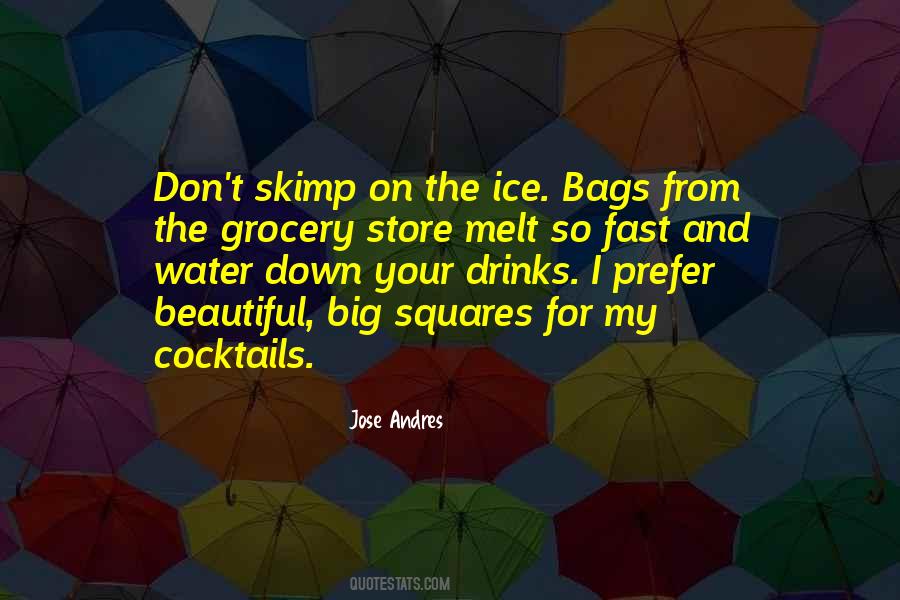 Big Bags Quotes #1189132