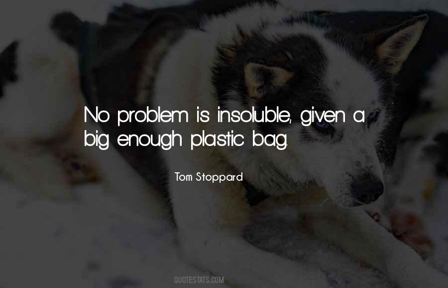 Big Bags Quotes #1656687