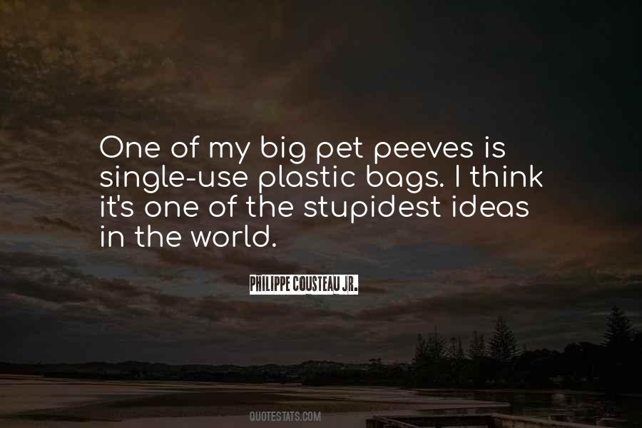 Big Bags Quotes #626405