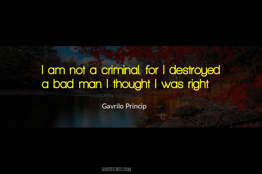 I Am A Bad Man Quotes #440991
