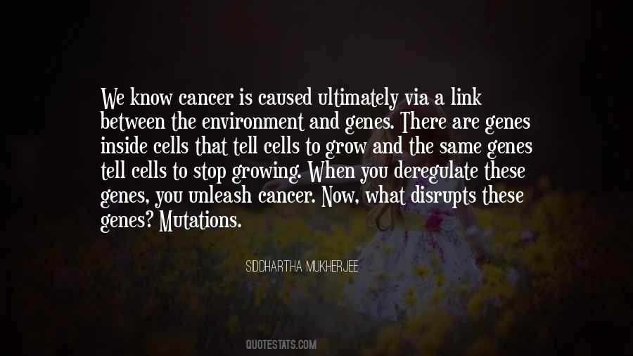When You Stop Growing Quotes #502987