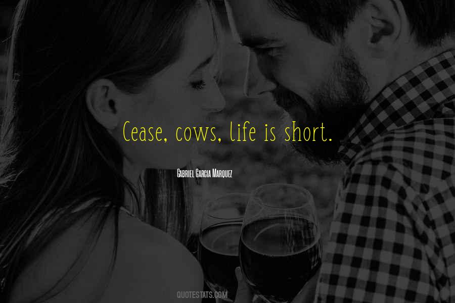 Famous Stresemann Quotes #373419