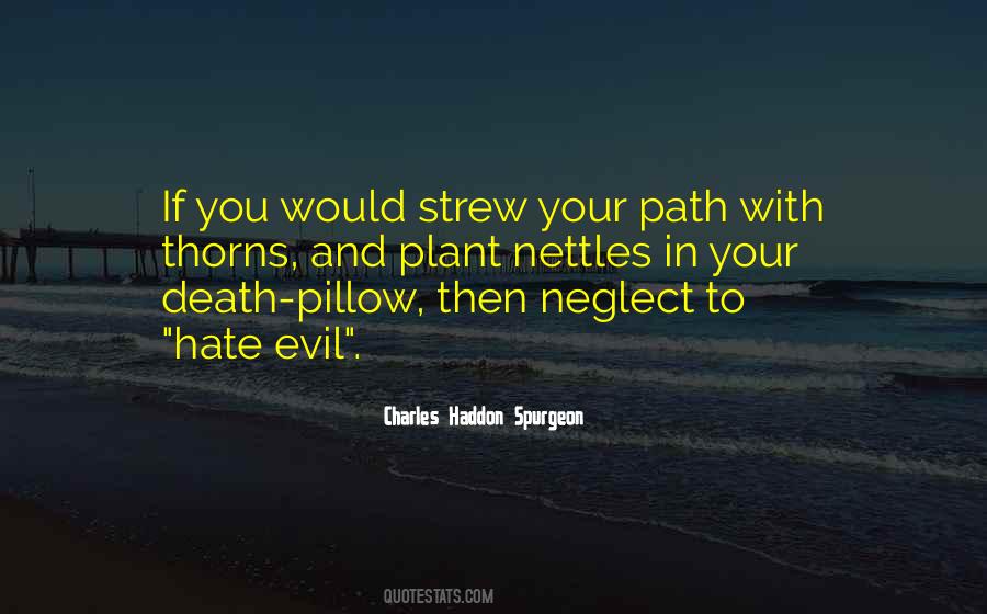 Hate Death Quotes #258193