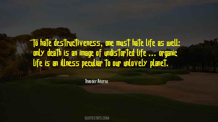 Hate Death Quotes #429111