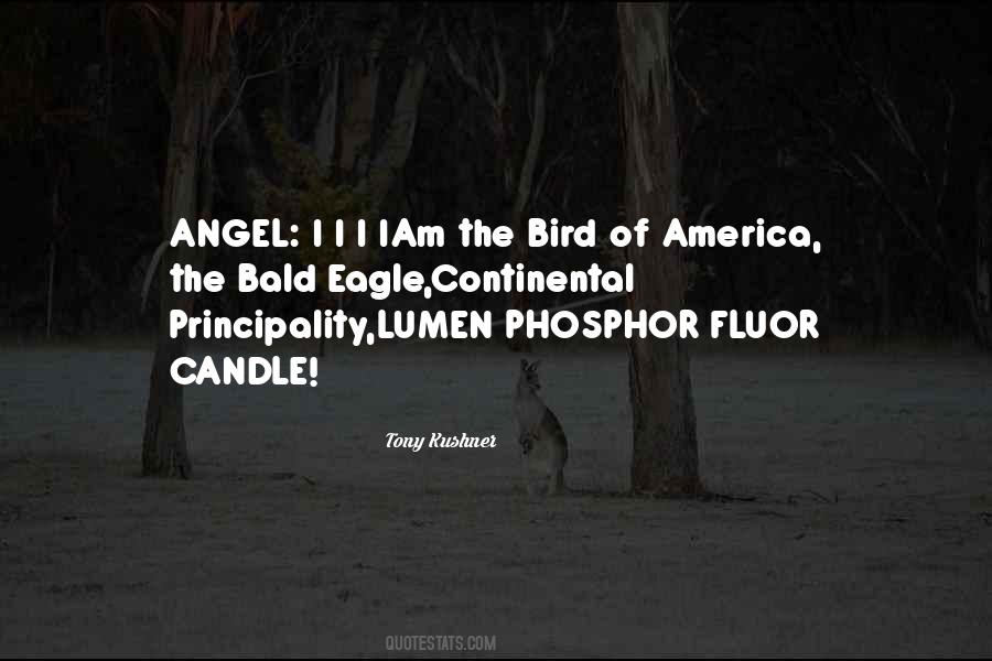 I Am An Eagle Quotes #525746