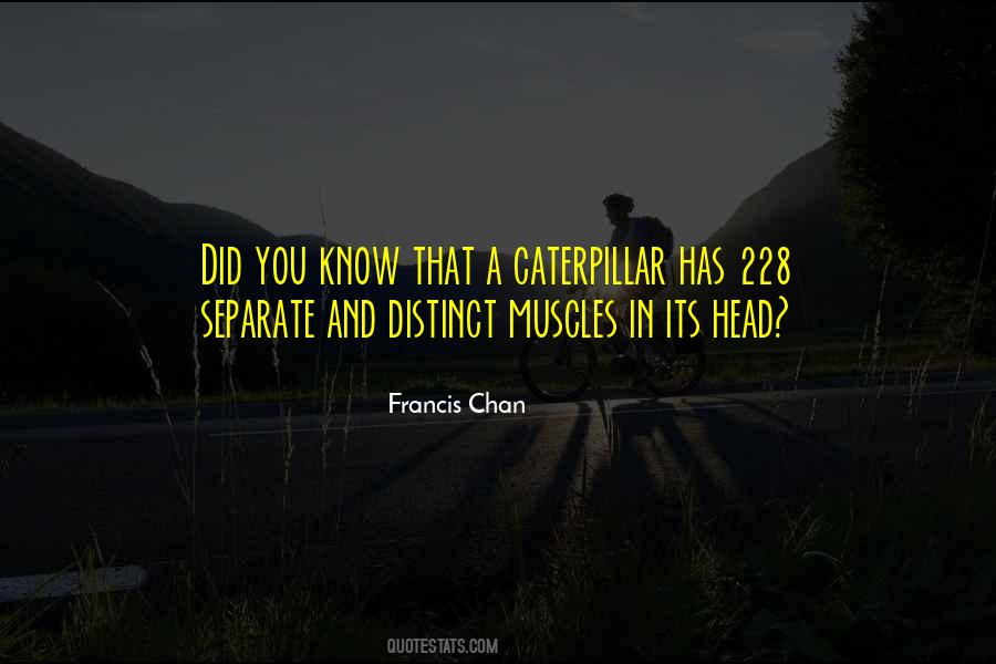 Distinct Quotes #1293477