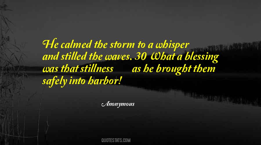 Stillness In The Storm Quotes #990706