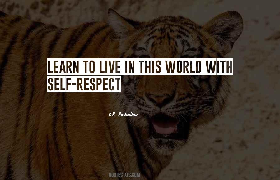 Learn To Respect Quotes #1175699