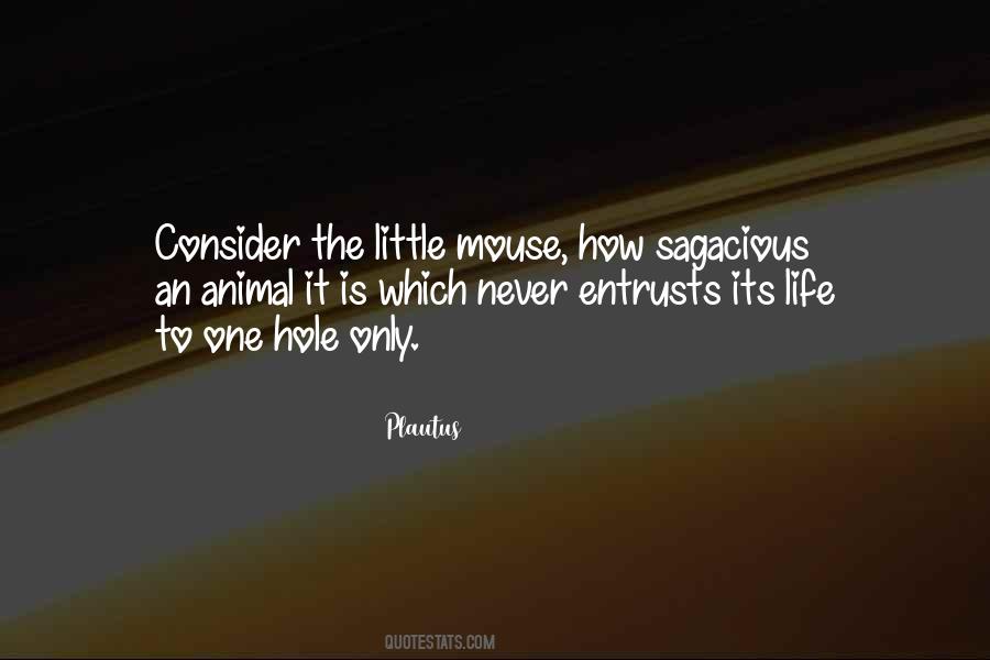 How Is Life Quotes #211535